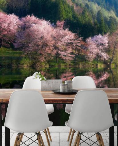 roze kersenbloesembomen bij een meerbehang roze kersenbloesembomen bij een meerbehang