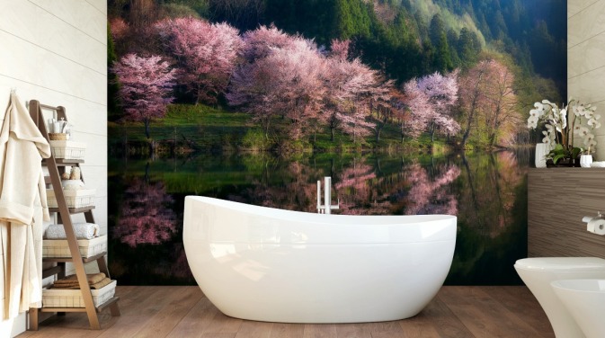 árvores de flor de cerejeira rosa por um lago wallpaper