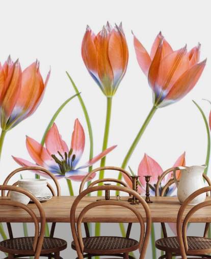 red tulips growing wallpaper red tulips growing wallpaper