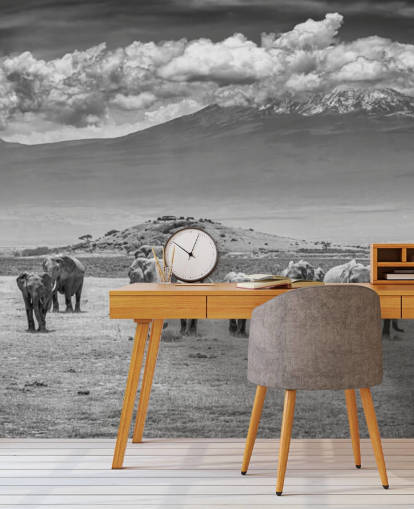 svart og hvitt bilde av elefanter tapet svart og hvitt bilde av elefanter tapet