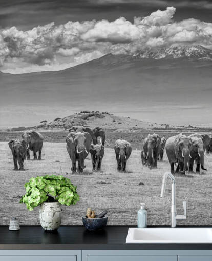 black and white photo of elephants wallpaper black and white photo of elephants wallpaper