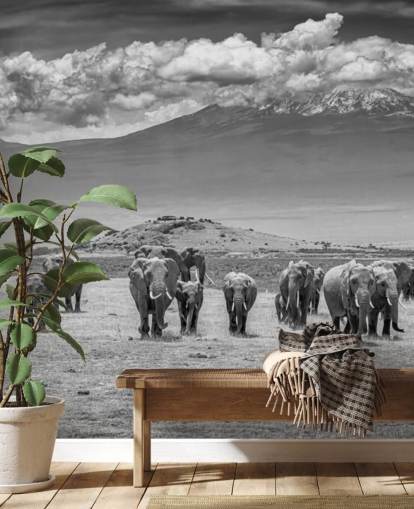 black and white photo of elephants wallpaper black and white photo of elephants wallpaper