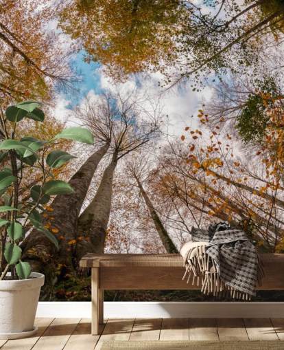 vista autunnale della foresta dalla carta da parati da terra vista autunnale della foresta dalla carta da parati da terra