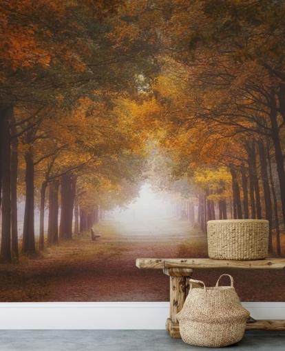 herfst oranje bos behang herfst oranje bos behang