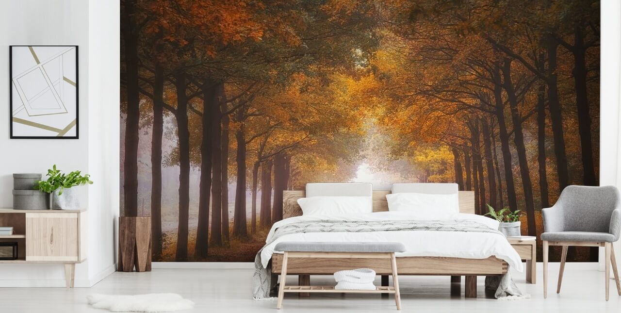 høst oransje skog tapet høst oransje skog tapet