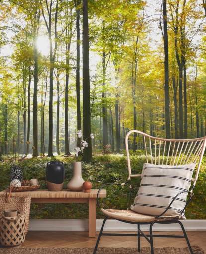 Forest Wall Mural Forest Wall Mural
