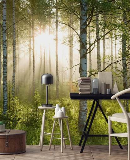 grønt tilpasseligt skovtapet vægmaleri kaldet Birch Forest Sunlight til soveværelser og kontorer grønt tilpasseligt skovtapet vægmaleri kaldet Birch Forest Sunlight til soveværelser og kontorer