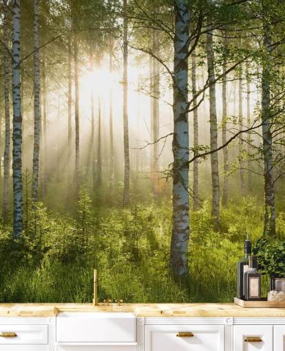 green customisable forest wallpaper mural called Birch Forest Sunlight for bedrooms and offices green customisable forest wallpaper mural called Birch Forest Sunlight for bedrooms and offices