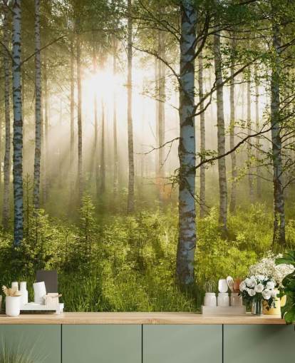 grønt tilpassbart skogtapet veggmaleri kalt Birch Forest Sunlight for soverom og kontorer grønt tilpassbart skogtapet veggmaleri kalt Birch Forest Sunlight for soverom og kontorer
