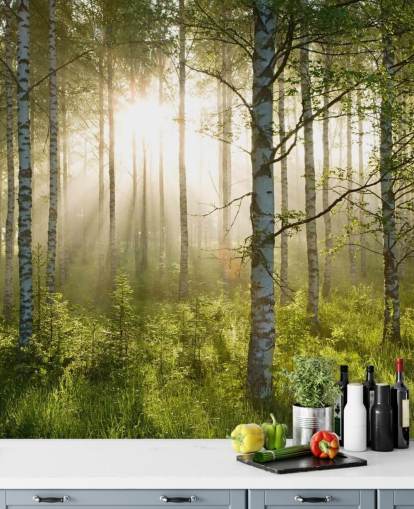 grüne, individuell gestaltbare Waldtapete namens Birch Forest Sunlight für Schlafzimmer und Büros grüne, individuell gestaltbare Waldtapete namens Birch Forest Sunlight für Schlafzimmer und Büros