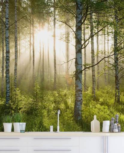 green customisable forest wallpaper mural called Birch Forest Sunlight for bedrooms and offices green customisable forest wallpaper mural called Birch Forest Sunlight for bedrooms and offices