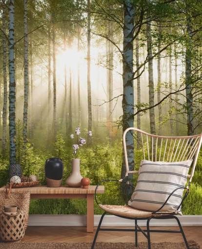 mural verde personalizable de papel pintado de bosque llamado Birch Forest Sunlight para dormitorios y oficinas mural verde personalizable de papel pintado de bosque llamado Birch Forest Sunlight para dormitorios y oficinas