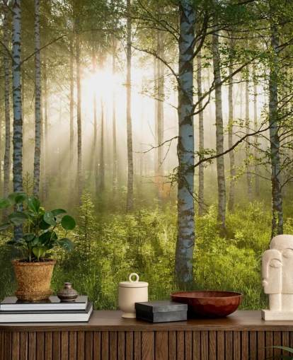 grønt tilpassbart skogtapet veggmaleri kalt Birch Forest Sunlight for soverom og kontorer grønt tilpassbart skogtapet veggmaleri kalt Birch Forest Sunlight for soverom og kontorer