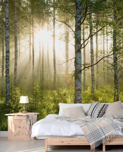 groene aanpasbare bosbehangmuurschildering genaamd Birch Forest Sunlight voor slaapkamers en kantoren groene aanpasbare bosbehangmuurschildering genaamd Birch Forest Sunlight voor slaapkamers en kantoren