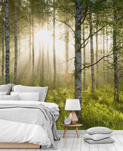 carta da parati murale verde personalizzabile chiamata Birch Forest Sunlight per camere da letto e uffici carta da parati murale verde personalizzabile chiamata Birch Forest Sunlight per camere da letto e uffici