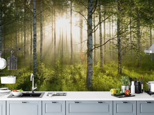 grønt tilpasseligt skovtapet vægmaleri kaldet Birch Forest Sunlight til soveværelser og kontorer