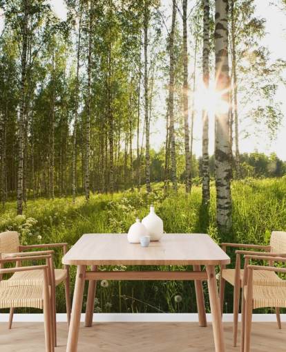 Birch Tree Wallpaper Birch Tree Wallpaper