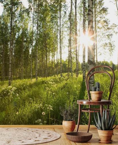 Birch Tree Wallpaper Birch Tree Wallpaper