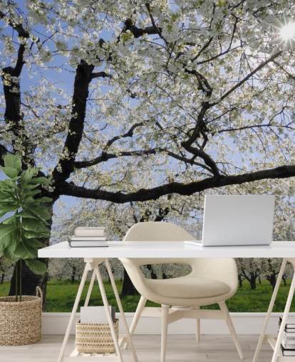 Körsbärsträd Väggmålningar Körsbärsträd Väggmålningar
