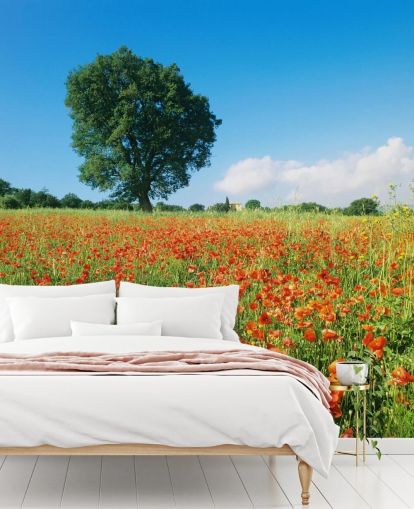 Unikko kenttä aurinkoisena päivänä taustakuva Unikko kenttä aurinkoisena päivänä taustakuva