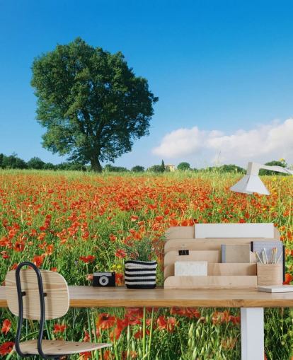 Poppy Field on a Sunny Day Wallpaper Poppy Field on a Sunny Day Wallpaper