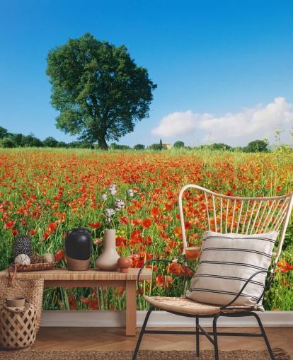 Poppy Field on a Sunny Day Wallpaper Poppy Field on a Sunny Day Wallpaper