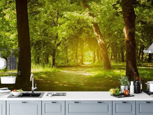 Forest Wallpaper & Tree Wallpaper Murals | Wallsauce US