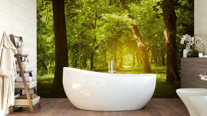 Glødende Sol i Green Forest Baggrund
