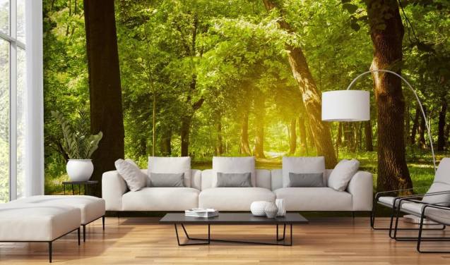 Forest Wallpaper & Tree Wall Murals | Wallsauce US