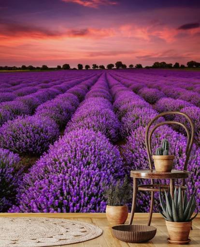 Lavender Fields Wallpaper Lavender Fields Wallpaper