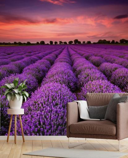 Lavender Fields Wallpaper Lavender Fields Wallpaper