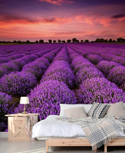 Lavender Fields behang Lavender Fields behang