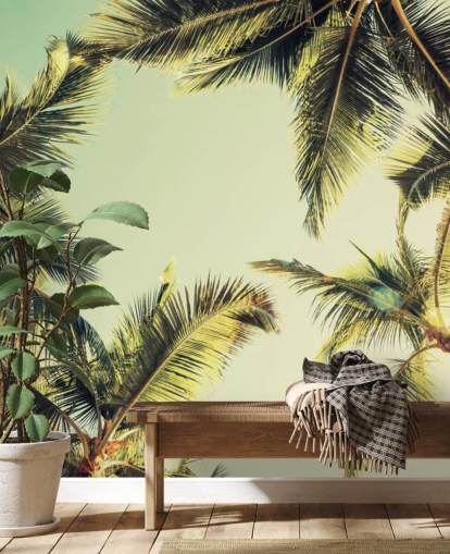 Looking Up at Palm Trees Wallpaper Looking Up at Palm Trees Wallpaper