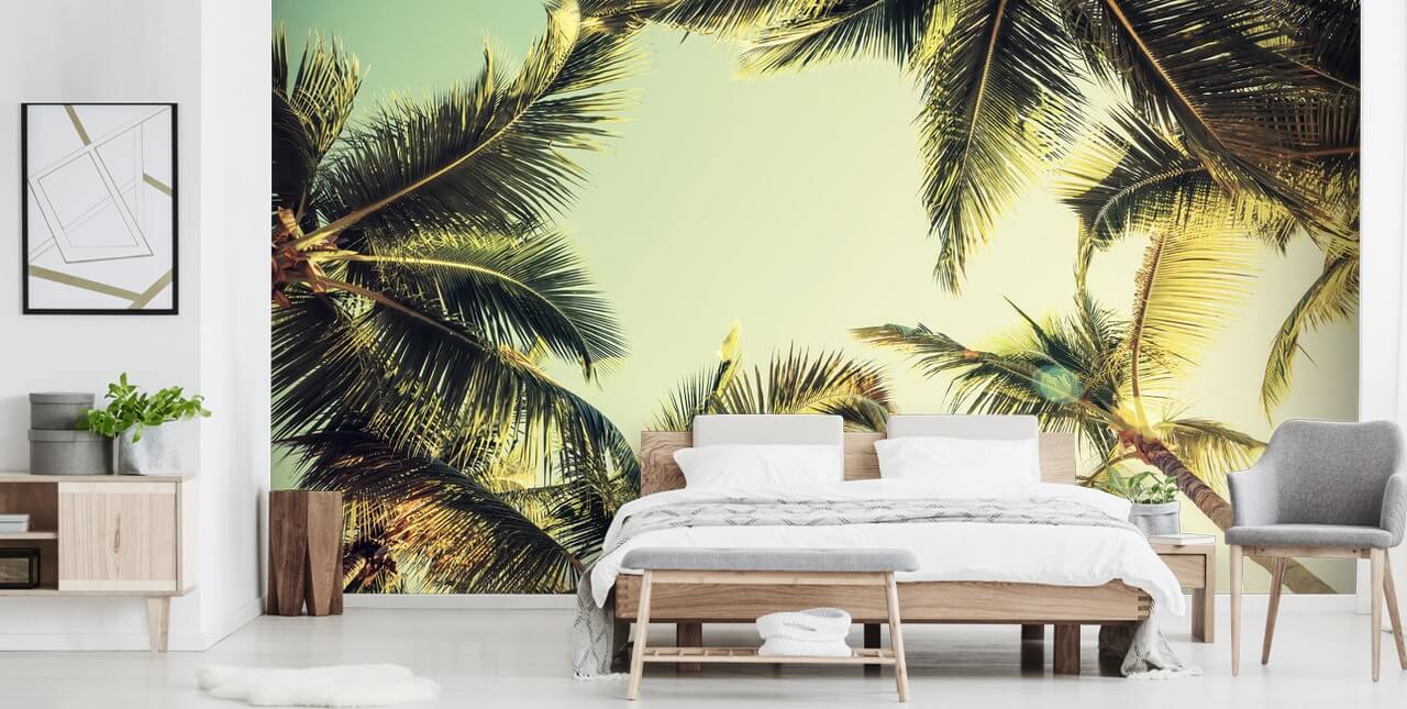 Kijken naar Palm Trees Wallpaper