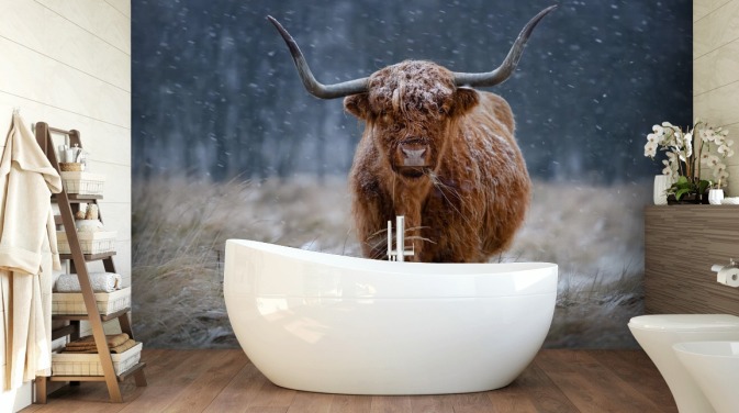 sneklædt brugerdefineret ko tapetmaleri kaldet Snowy Highland Cow til soveværelser og badeværelser