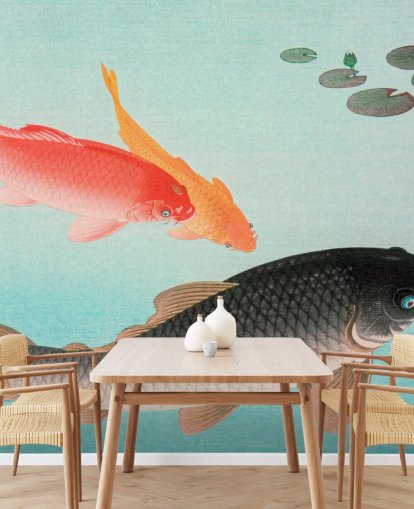 Common and Golden Carp Fish Wallpaper Common and Golden Carp Fish Wallpaper