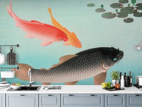 orange and black koi fish wallpaper
