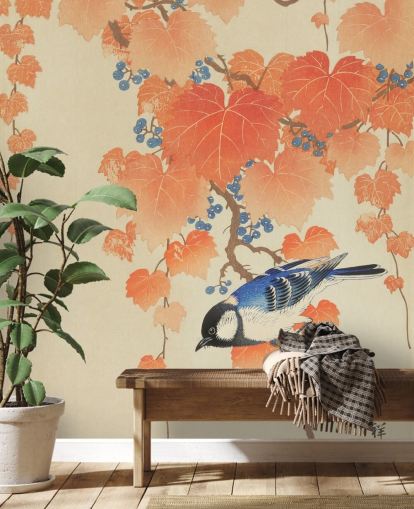 oransje blader og blå meis tapet oransje blader og blå meis tapet