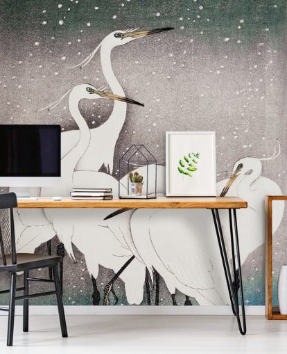 valkoinen egrets tapetti valkoinen egrets tapetti