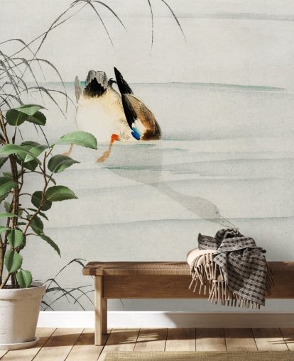 Ente unter Wasser Fototapete Ente unter Wasser Fototapete