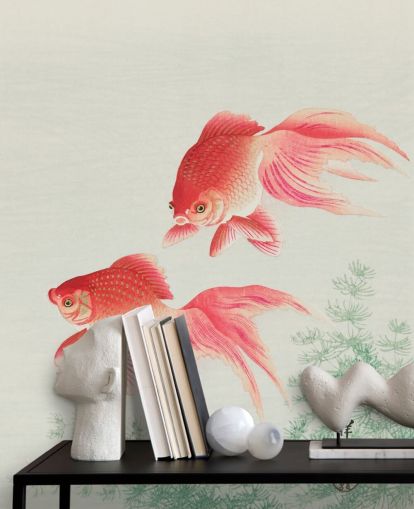 Two Veil Goldfish Fish Wallpaper Two Veil Goldfish Fish Wallpaper