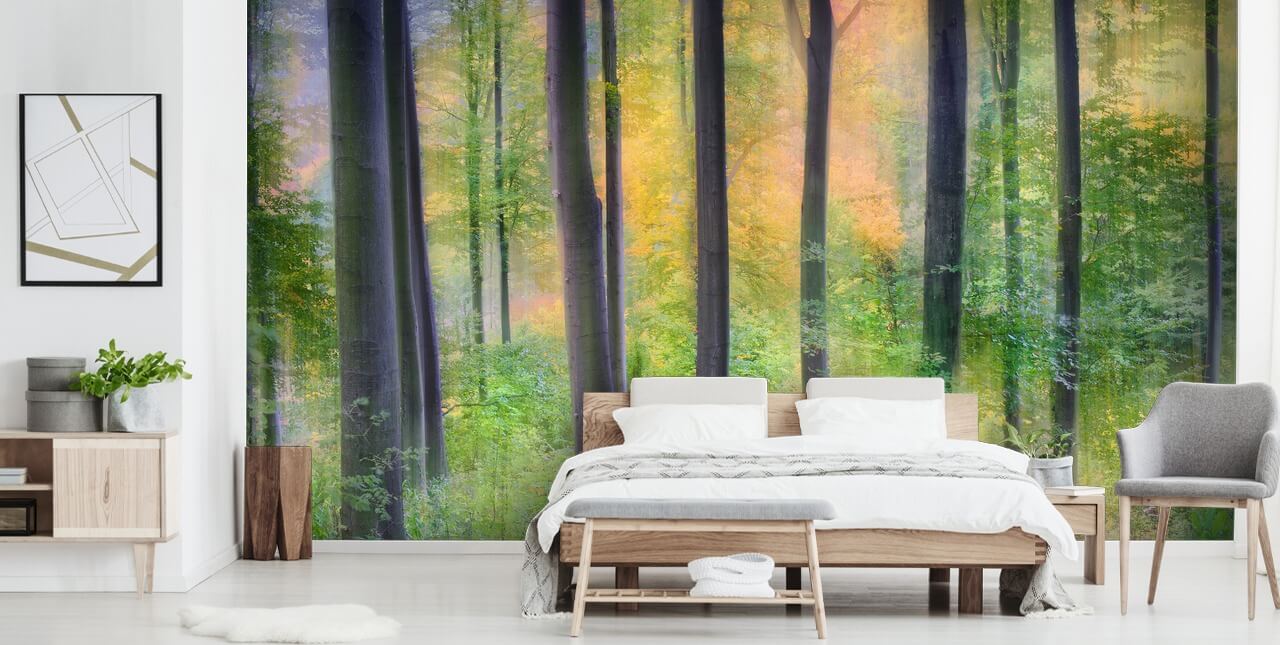 Woodland Bakgrunn