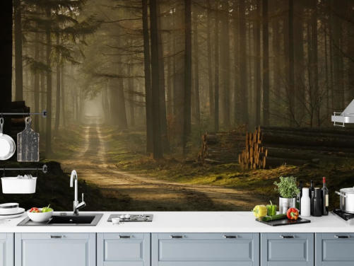 A Forest Walk Woodland Wallpaper
