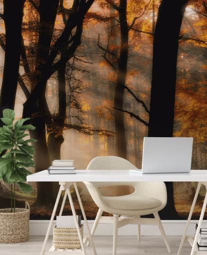 Woodland taustakuva Woodland taustakuva