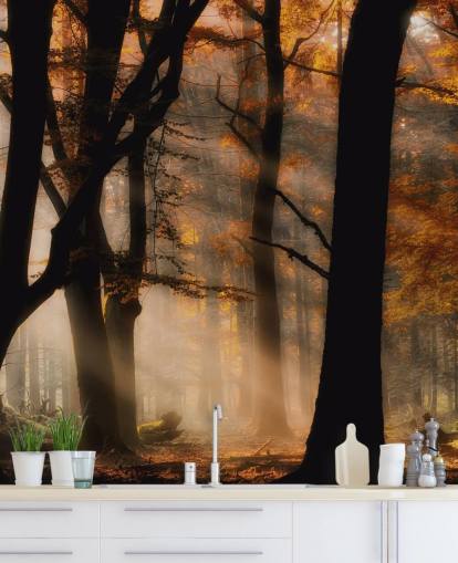 Woodland Wallpaper Woodland Wallpaper