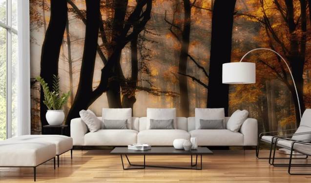 Autumn Light Woodland Wallpaper