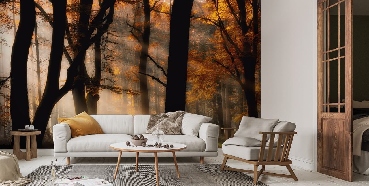 Autumn Light Wall Mural | Wallsauce US