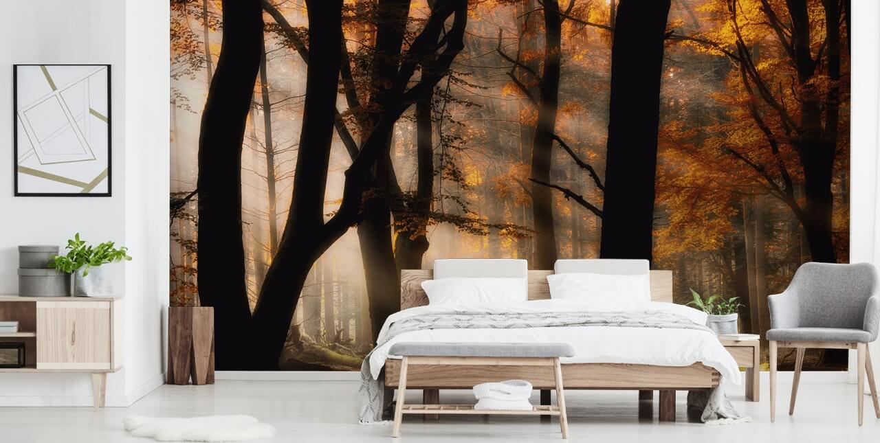 Woodland Wallpaper