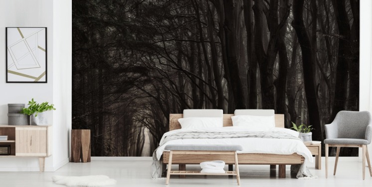 Darkness Come Alive Woodland Wallpaper