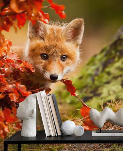 Fox Cub in Autumn Leaves Wallpaper Fox Cub in Autumn Leaves Wallpaper